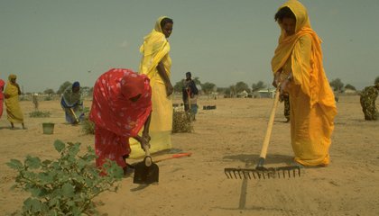 IFAD/ Barbara Gravelli.jpg