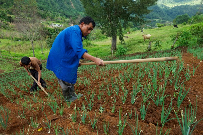 guatemala_ifad_Santiago Albert Pons.jpg