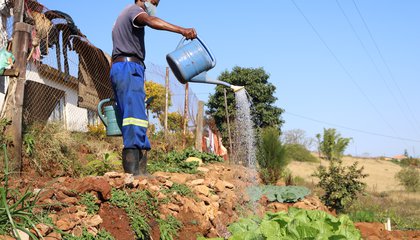 2021 06 10_Mr Ngcobo watering his garden_.JPG