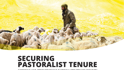 2025 11 sparc brief policy securing pastoralist tenure_spreads_1