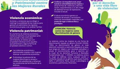 pagina 1 infografia violencia patrimonial.jpg