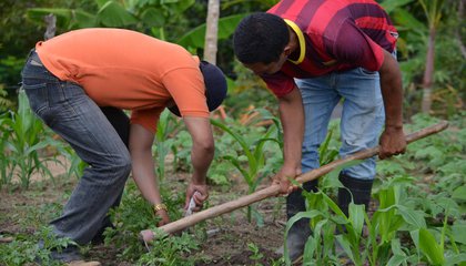 Boletín Dinamica CompraVenta de tierra Nicaragua 2021.jpg