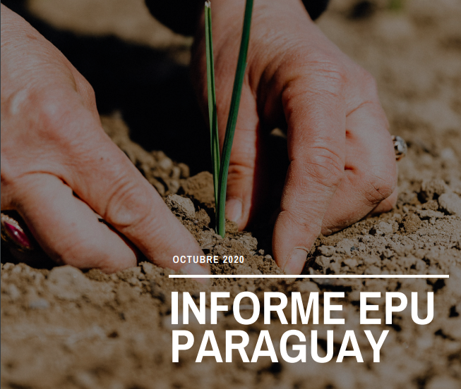 epu_paraguay_2020.png