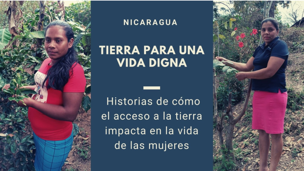 En el municipio El Jícaro, y en Guanacastillo en particular, muchas mujeres han logrado acceder a la tierra gracias a un crédito obtenido con el apoyo de la Cooperativa Agropecuaria Multisectorial Orfilia Vásquez R.L. (COOPAMOV). Desde 2017, esta cooperativa ha ofrecido créditos a sus socias y está motivando el cambio de patrones culturales al priorizar a las mujeres como sujetas de crédito para ser propietarias de tierras y capacitarlas como productoras organizadas. En este especial se presentan historias de mujeres de Guanacastillo, socias de la cooperativa, que han mejorado sus condiciones de vida tras convertirse en propietarias de la tierra.