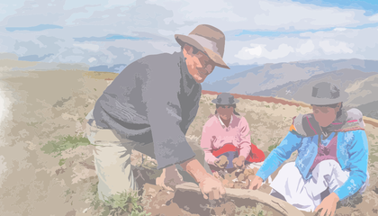 Informe AF Perú.png