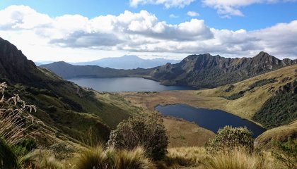 DSC_0349.jpeg