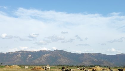 Fallow land-Nepal.jpg