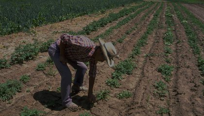 boliviaifad.jpg