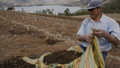 IFAD_PABLOCORRAL2.jpg