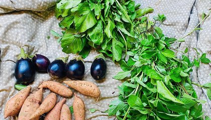 Gaza_ From the Besieged Farmer to Besieged Family