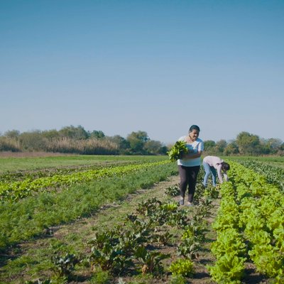 HIS Argentina-AF- STILLS-1