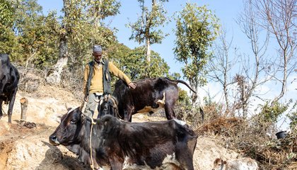 Haliya-36_Bhabishya Paudel.jpg