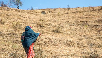 Haliya-43_Bhabishya Paudel.jpg