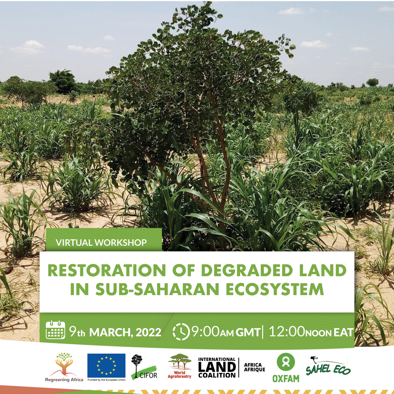 Regreening Africa 2.png