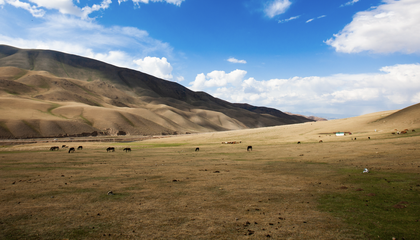 Kyrgyzstan_Pastures (36)