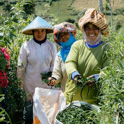 indonesia sukamukti glf 208 tria rifki 58_crop.jpg