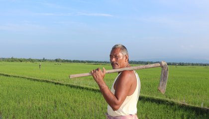 Tenant Farmer.JPG
