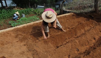 Usado en video acceso a tierras