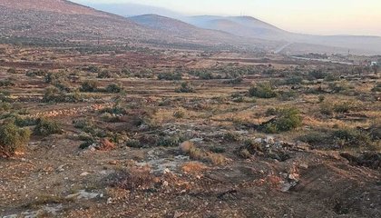 WhatsApp Image 2025-08-22 at 13.16.26 (1)