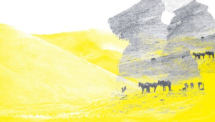 mobility matters banner 4