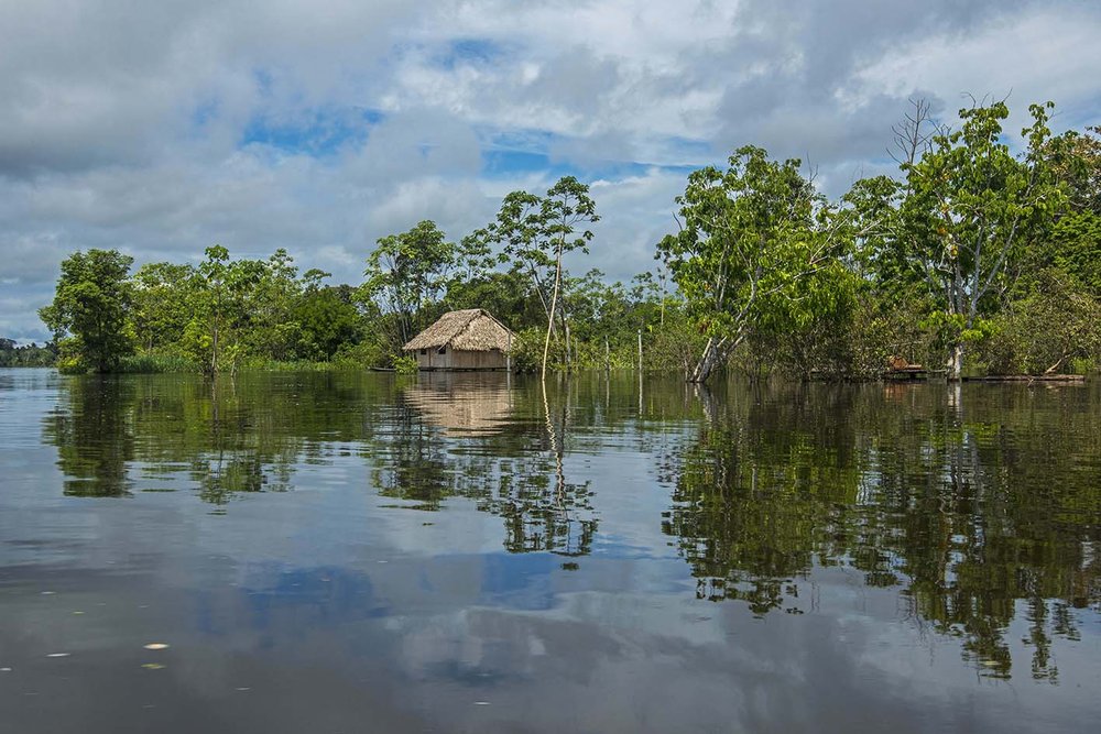 Río Putumayo: biodiversidad protegida desde los territorios indígenas. Foto: Flor Ruiz