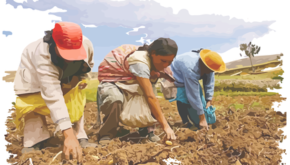 imagen para portada informe peru.png