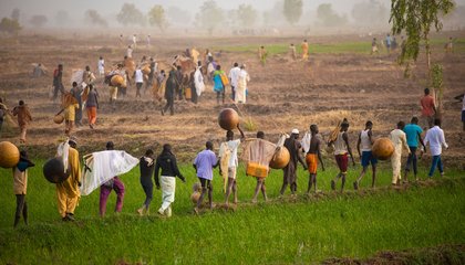 india-farm.jpg