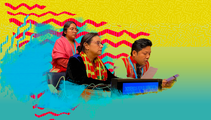 indigenous peoples platforms 4b