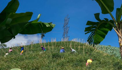 indonesia sukamukti glf 208 tria rifki 63.jpg