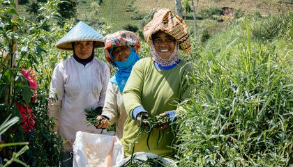 indonesia sukamukti glf 208 tria rifki 58.jpg