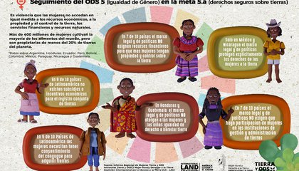 infograf portada.jpg
