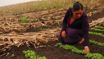 campesina_ecuador.jpeg