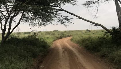 land governance_Will/ILC_JPG