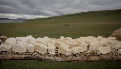 mongolia jason taylor 56.jpg