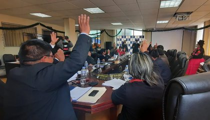 ordenanza regional PUNO.jpg