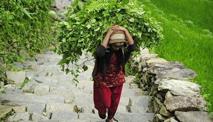 asia-farmers-shutterstock