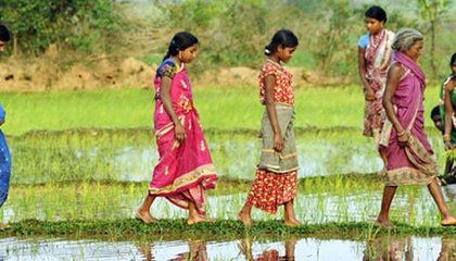 trocaire_-_odisha-women_caption_tribal_women_in_odisha._photographer_justin_kernoghan.jpg