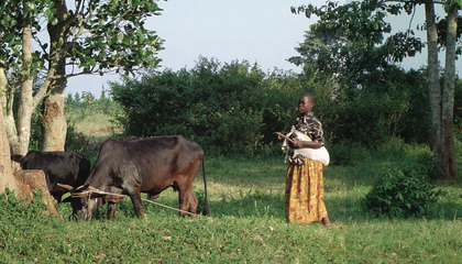 uganda toolkit africa.png