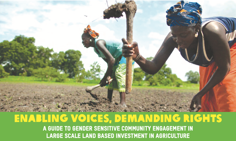 webinar enabling voices.png